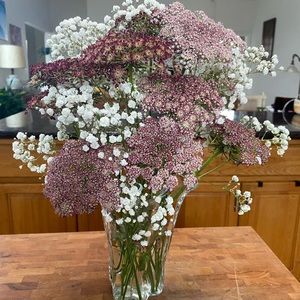 Meet your Posher, Dana